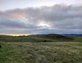 An expansive, coastal area of park and wilderness just north of the capital. With 180 hectares of open space and pockets of native bush, Whitireia Park is where people in Porirua come to roam on foot, bike, or hoof.