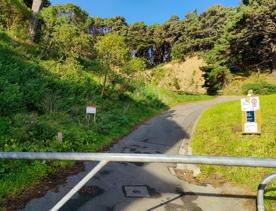 The former Mount Victoria Quarry site sits at the base of Wellington’s Town Belt. A path winds up the hill.