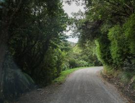 The Kiriwhakapapa Road Tararua Forest Park screen location, featuring walking trails and campsite opportunities in wild, natural landscapes.