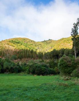 The screen locations of Catchpool Valley, with the river, lush bush,  forest, and grassland.