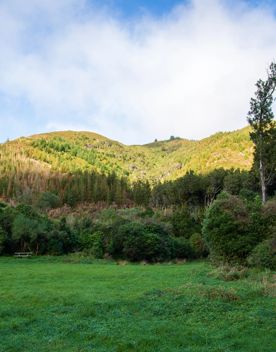 The screen locations of Catchpool Valley, with the river, lush bush,  forest, and grassland.
