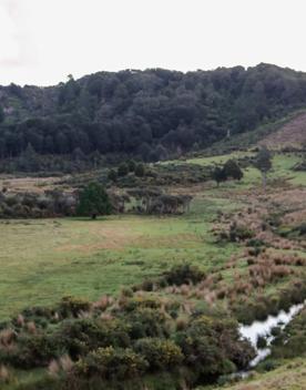 Corrugated iron sheds sit among the grassland of Wallaceville Farmland.