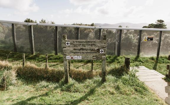 A wooden sign on the Fenceline track in Waimapihi Reserve showing directions. The Zealandia border fence sits behind the sign.