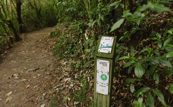 Forest path next to a wooden trail marker for the Bootleg trail with directional arrow for Dual Slalom, Kids Skills Area, Main Road and Nevay Road.