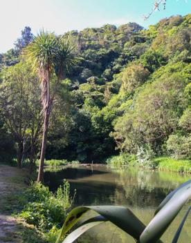 The Percy Scenic Reserve, features walking tracks, lawns, native bushes, gardens, and a large waterfall.