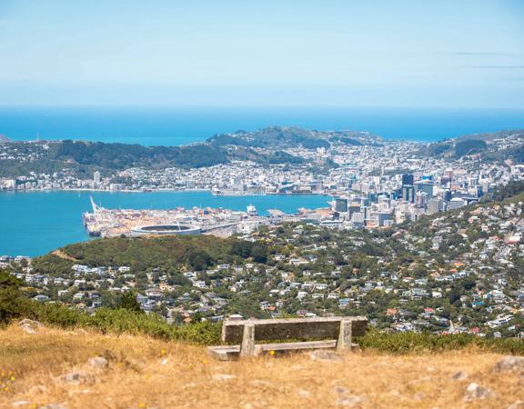 The view overlooking Wellington and the harbour from the summit of Mount Kaukau on the Skyline Walkway.