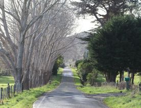 Mangaroa Valley Road screen location, a scenic rural setting with native forest, farmland, and a mountainous backdrop.