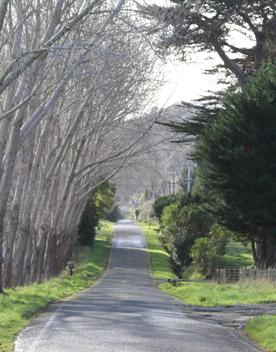 Mangaroa Valley Road screen location, a scenic rural setting with native forest, farmland, and a mountainous backdrop.