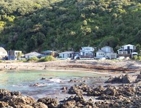 Breaker Bay on a sunny day, blue and green waves crashing on the stoney shore, with green cliffs surrounding.