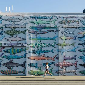 Shark Mural by BMD