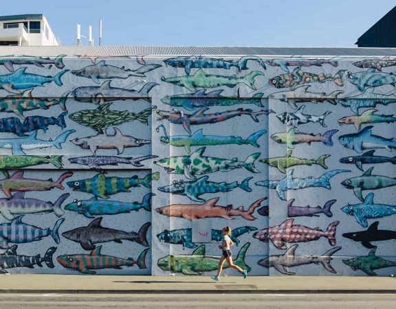 Shark Mural by BMD