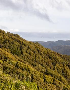 The Wrights Hill Fortress screen location, located in Karori overlooking Wellington from an old gun emplacement. The location includes historic monuments, underground landmarks, and tunnels.