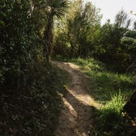 The Juvenile Delinquent trail at Centennial Reserve in Miramar.