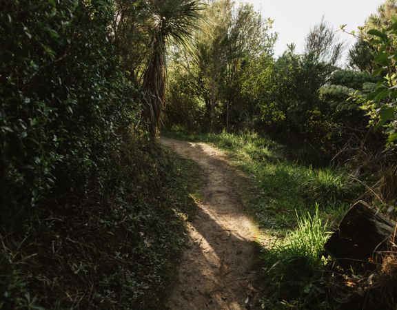 The Juvenile Delinquent trail at Centennial Reserve in Miramar.