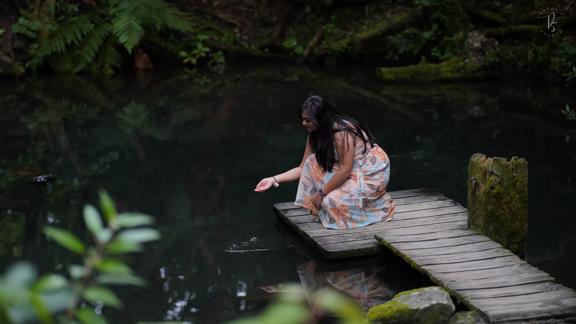 A person feeding fish in a pond of a small wooden wharf at Staglands.