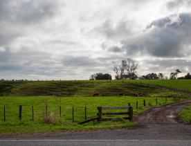 The screen location of Waitohu Valley Ōtaki, features native and exotic forests, pastoral lands, and wetlands.