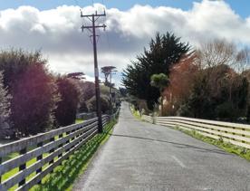 Ohariu Valley Road in Wellington travels through a slice of quintessential Kiwi countryside.