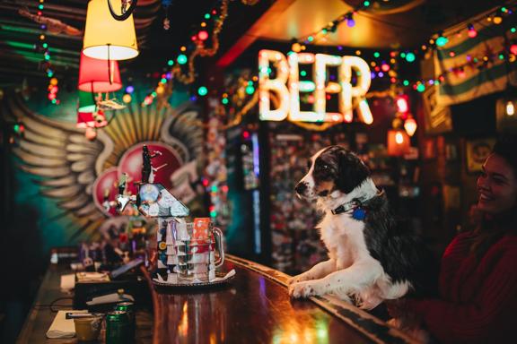 A smiling person holds up their cute dog at the bar inside Golding's Free Dive, an eclectic Wellington bar with kitsch decor and colourful Christmas lights. 