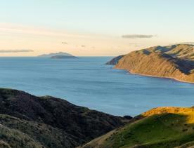 The screen location of West Wind Farm and Mākara Bunker at sunset, with 360 views of Wellington and the wind farm, as well as the historic fort Opau.