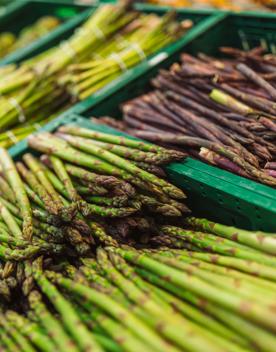 Bins filled with asparagus at Moore Wilson's.