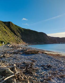 A quaint seaside village at the base of dramatic cliffs, Mākara is just 30 minutes from Wellington’s city centre. On its rugged western coast is a seaside village and a gently sloping, stony beach.