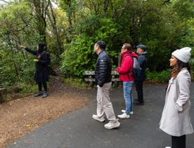 Four people on a tour with a Zealandia Tour Guide