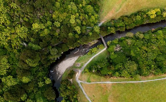 An aerial view of Gums Loop in Wainuiomata Park in Lower Hutt, Hutt Valley. It is a green forest, some grassy fields, a walking path with a small bridge over the Wainuiomata River.