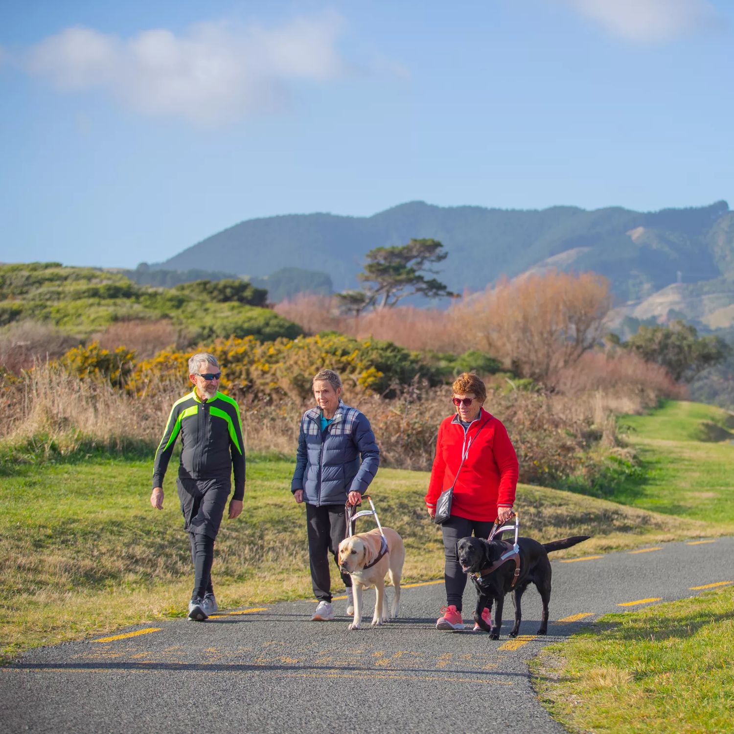 Three people walking on a smooth gravel track at Queen Elizabeth Park. Two people are walking with guide dogs.
