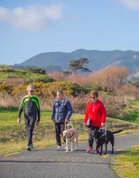 Three people walking on a smooth gravel track at Queen Elizabeth Park. Two people are walking with guide dogs.