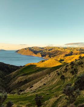 The screen location of West Wind Farm and Mākara Bunker at sunset, with 360 views of Wellington and the wind farm, as well as the historic fort Opau.