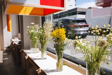 Four bouquets of wild flowers in front of a sunny window.