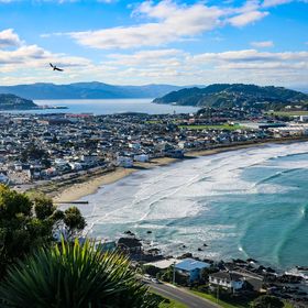 Scenic shot looking down at the blue ocean in Lyall Bay Beach on a sunny day.   Suburban housing is shown close to the water. Wellington Harbour is in the background and a seagull is flying in the foreground.