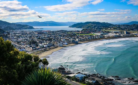 Scenic shot looking down at the blue ocean in Lyall Bay Beach on a sunny day.   Suburban housing is shown close to the water. Wellington Harbour is in the background and a seagull is flying in the foreground.