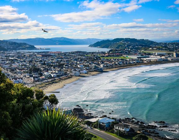 Scenic shot looking down at the blue ocean in Lyall Bay Beach on a sunny day.   Suburban housing is shown close to the water. Wellington Harbour is in the background and a seagull is flying in the foreground.