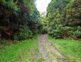 Camp Wainuiomata screen location. Has several buildings and is surrounded by forest and bush.