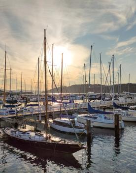 Evans Bay Marina, at the south end of Evans Bay in Wellington Harbour, the marina provides spectacular views of the bay.