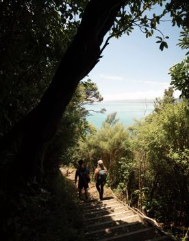 Two people walk amongst native trees down the Wilkinson Track on Kapiti Island. The view shows Kāpiti Coast.