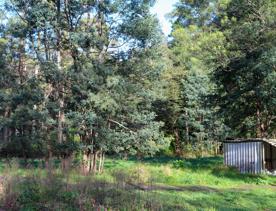 Mangaroa Valley Road screen location, a scenic rural setting with native forest, farmland, and a mountainous backdrop.