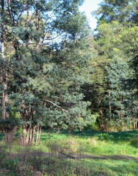 Mangaroa Valley Road screen location, a scenic rural setting with native forest, farmland, and a mountainous backdrop.