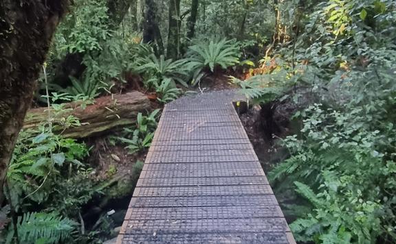 Mesh cover on one of the boardwalks on Donnelly Flat Loop Walk.