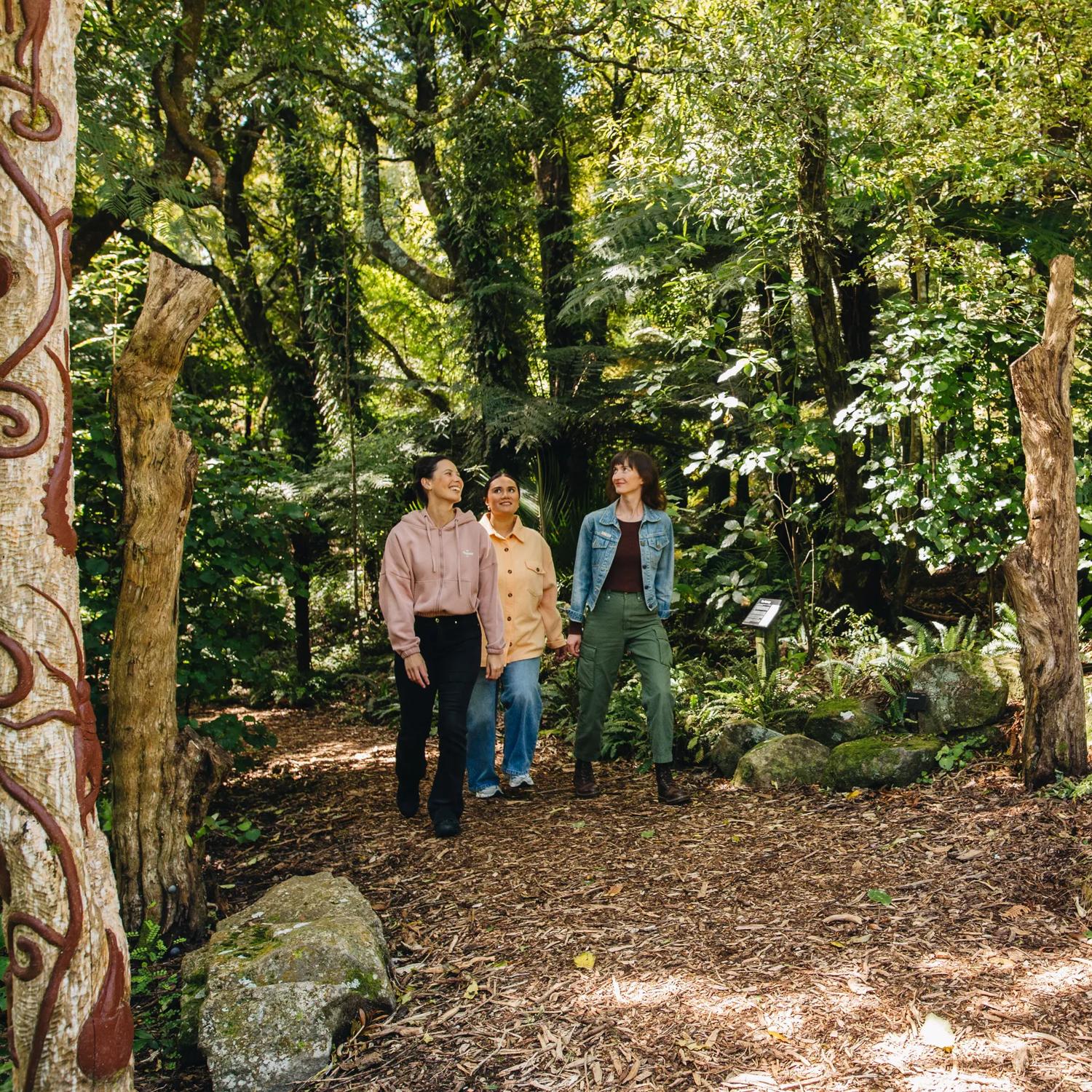 Three people waking through native forest at Ōtari-Wilton's Bush in Wellington