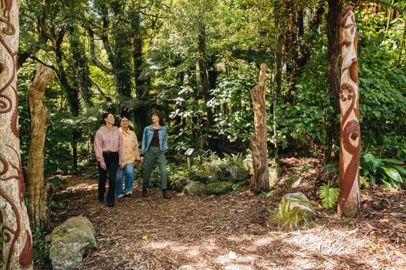 Three people waking through native forest at Ōtari-Wilton's Bush in Wellington