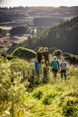 Four people are hiking along a trail amongst grassy rolling hills.