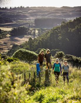 Four people are hiking along a trail amongst grassy rolling hills.