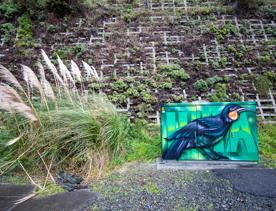 The urban setting of the Hutt Road Ngauranga Interchange, where highways got over tunnels with walls that once had graffiti.