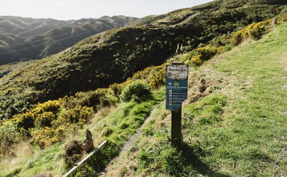 The Borderline trail in Belmont Regional Park, a gravel and grass trail down grassy hills.