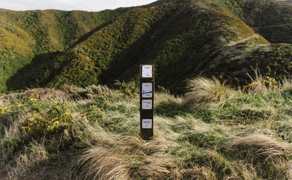 A signpost near the summit of Tip Track showing different directions.