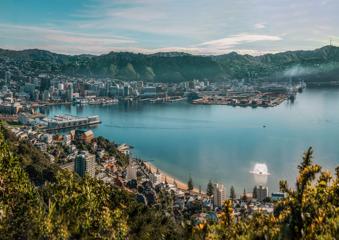 The view from Mount Victoria Lookout on a sunny day with Oriental Bay beach and Wellington City in the background.