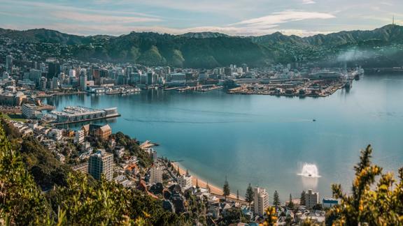 The view from Mount Victoria Lookout on a sunny day with Oriental Bay beach and Wellington City in the background.