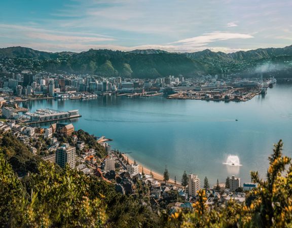 The view from Mount Victoria Lookout on a sunny day with Oriental Bay beach and Wellington City in the background.